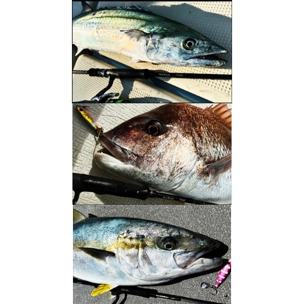 23 SeaWalk Cast Jigging